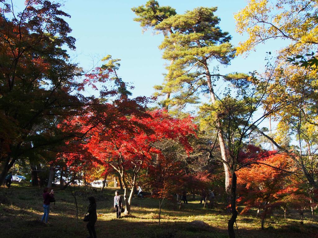 Inn Yokotei Nagatoro  Extérieur photo