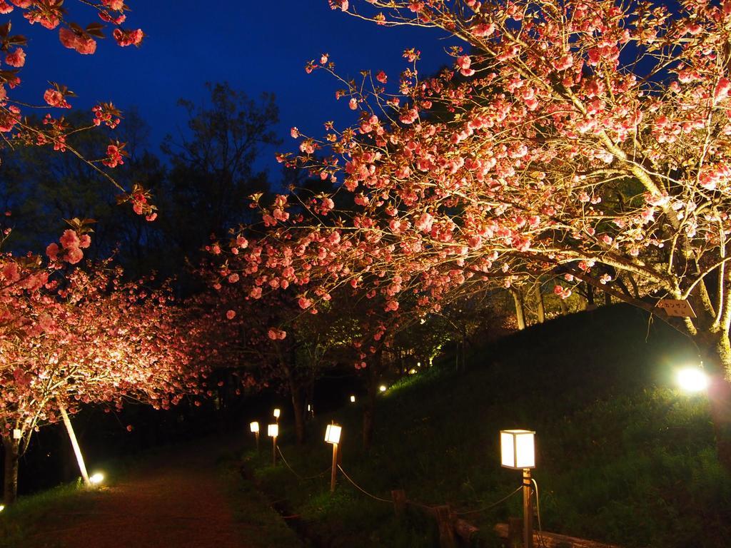 Inn Yokotei Nagatoro  Extérieur photo